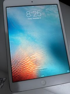 (Category: ) located in . Submitted by aavarieties (Listing ID 1200524406, Image 1). Description: .