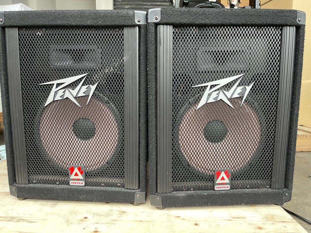 Peavey 110TLS speaker