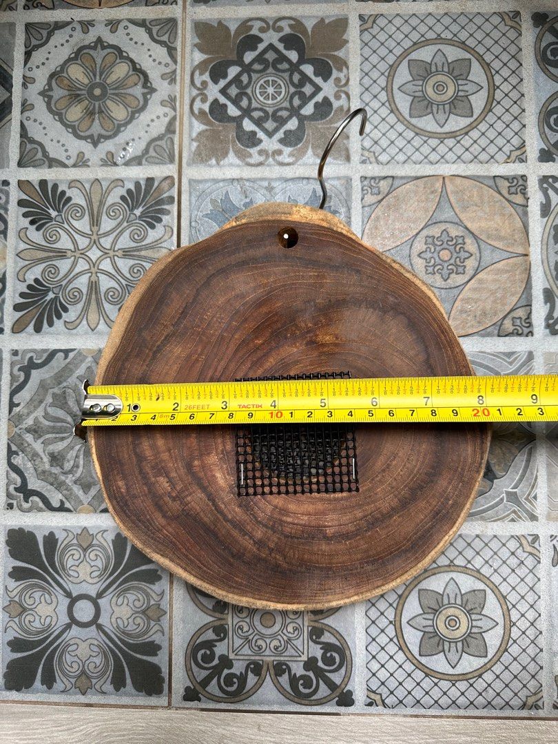 Platycerium Teak Wood Mounting Board, Furniture & Home Living, Gardening, Plants & Seeds on