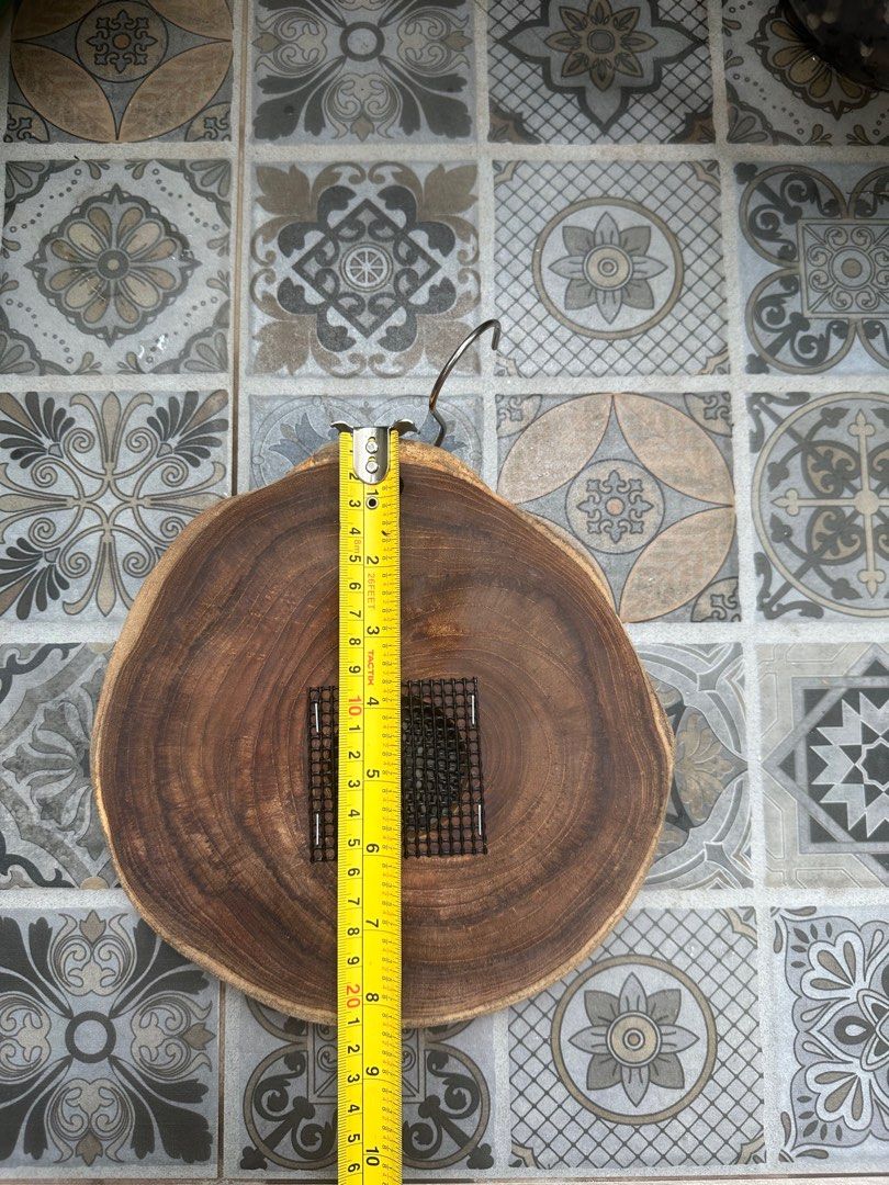 Platycerium Teak Wood Mounting Board, Furniture & Home Living