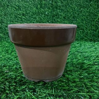 Terracotta Brown Glazed Pot with Drainage Hole 5" x 4" inches - P199.00