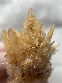 (Category: ) located in . Submitted by crystals_cove (Listing ID 1200562960, Image 1). Description: .