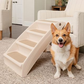 (Category: ) located in . Submitted by homedealsg (Listing ID 1204336278, Image 1). Description: .