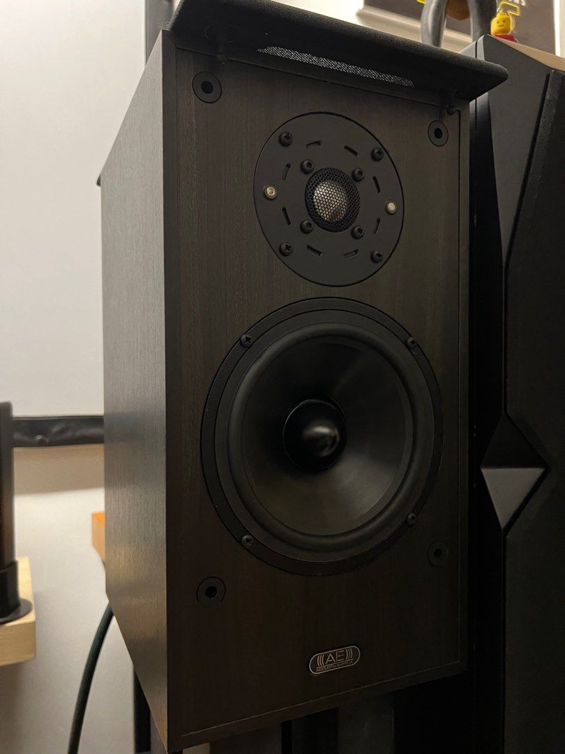 AE model one High End audiophile bookshelf speaker (UK made), Audio