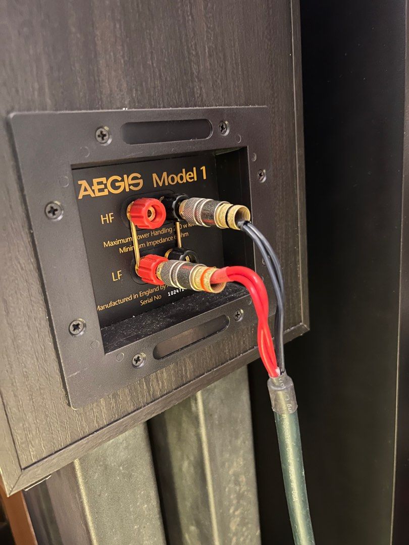 AE model one High End audiophile bookshelf speaker (UK made), Audio