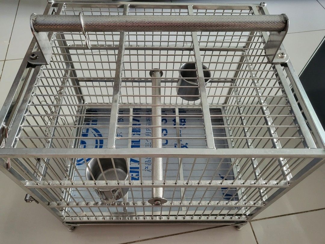 beginner fish tank ideas