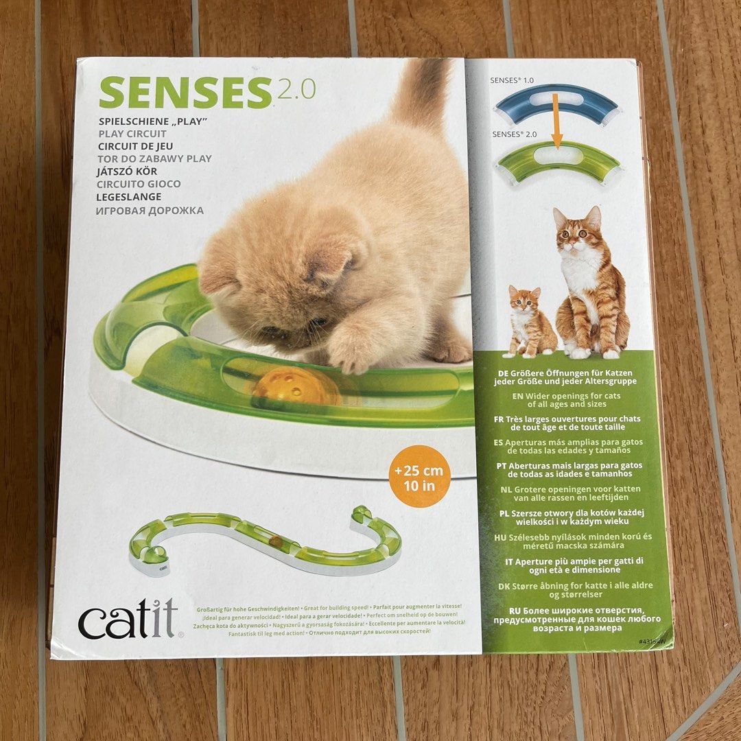 play circuit cat toy