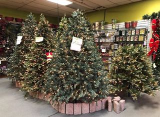 Christmas Trees
