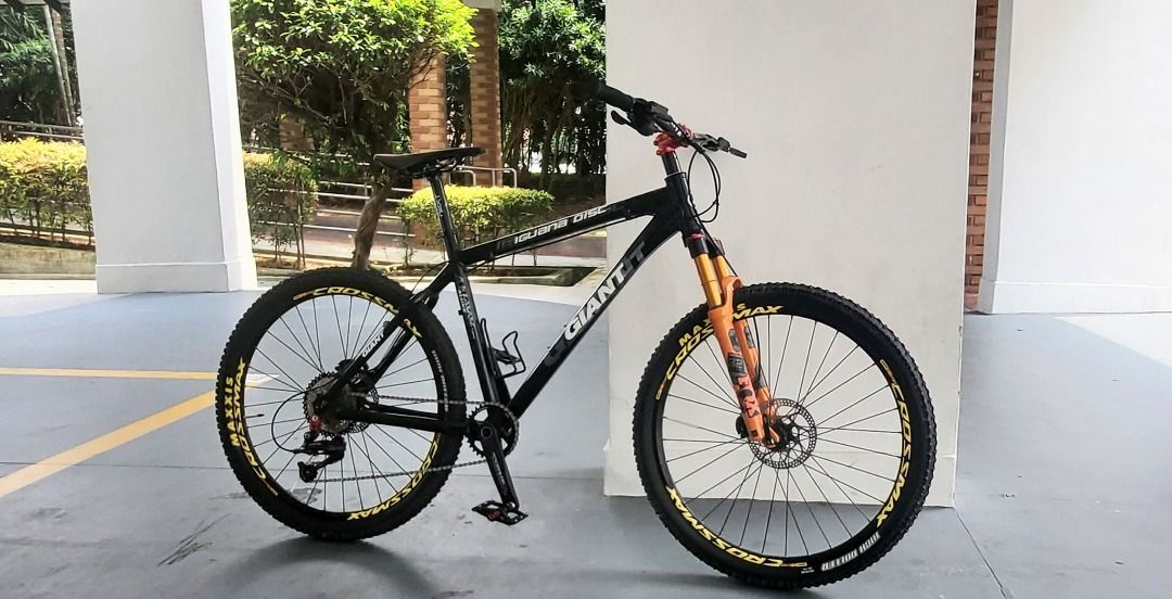 Giant iguana disc 2025 price