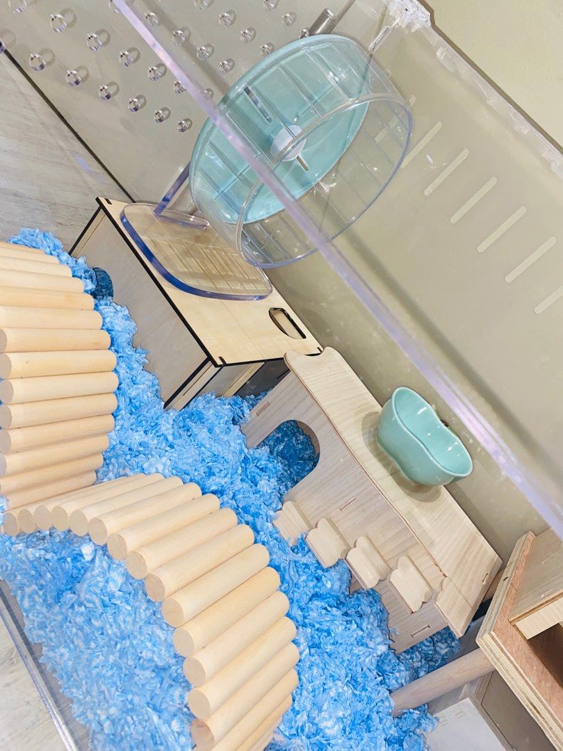 Image showcasing Hamster acrylic cage 80cm 100cm cage wooden accessories setup ideas ...