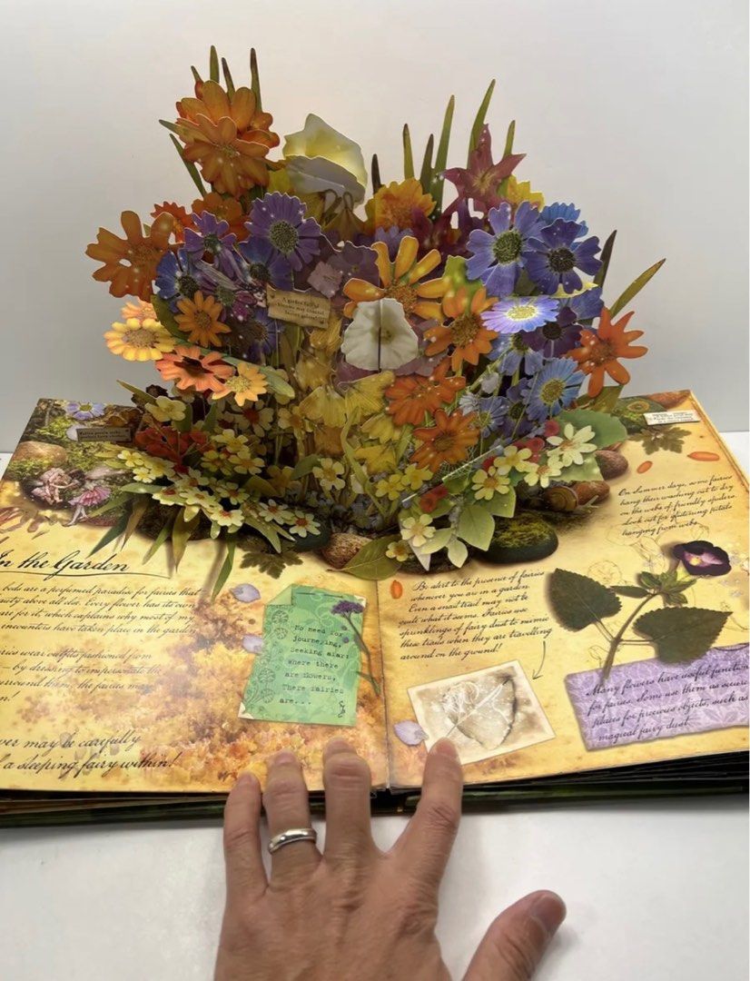 how-to-find-flower-fairies-book-by-cicely-mary-barker-hobbies-toys