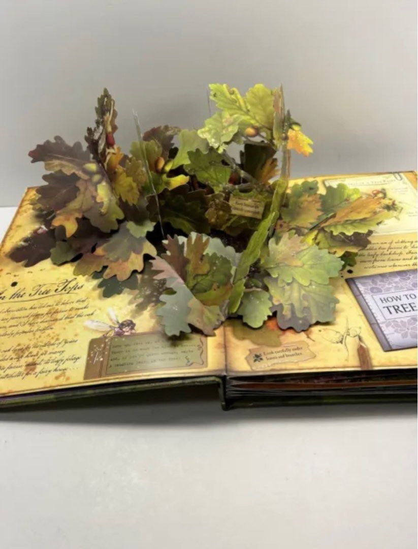 How To Find Flower Fairies Book By Cicely Mary Barker Hobbies Toys how-to-find-flower-fairies-book-by-cicely-mary-barker-hobbies-toys