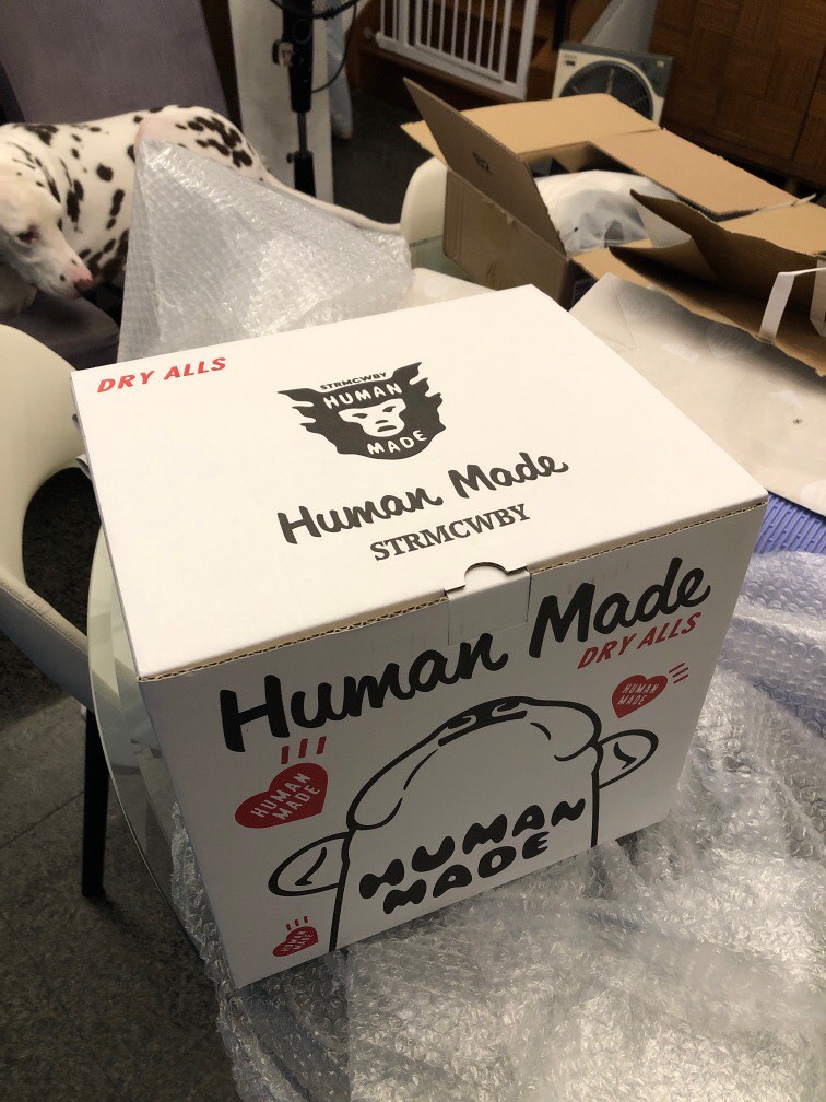 Human Made Bulldog Trophy Paper Mache Display, Luxury