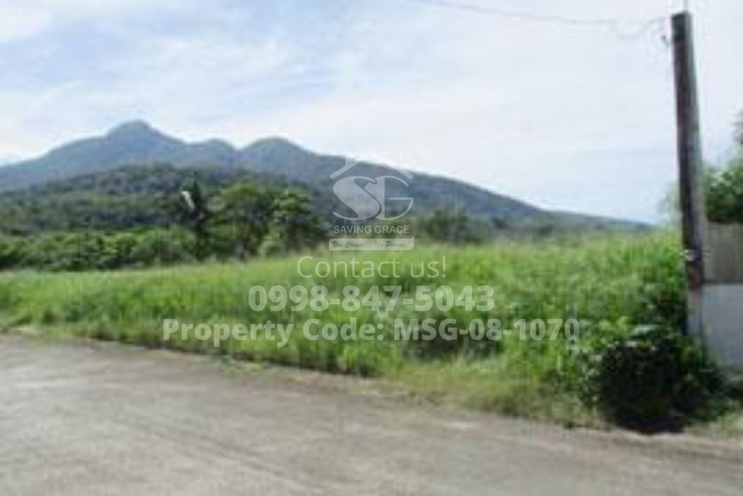 MSG081070 Foreclosed ResidentialVacant Lot in San Rafael Estates, Brgy. Santiago, Santo Tomas