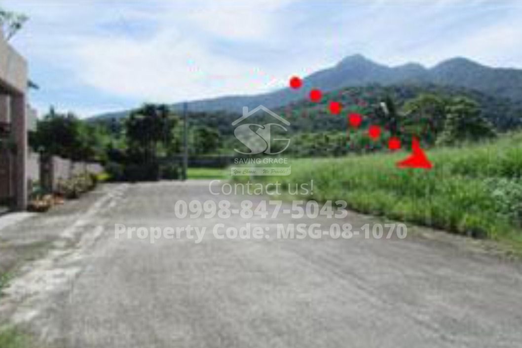 MSG081070 Foreclosed ResidentialVacant Lot in San Rafael Estates, Brgy. Santiago, Santo Tomas