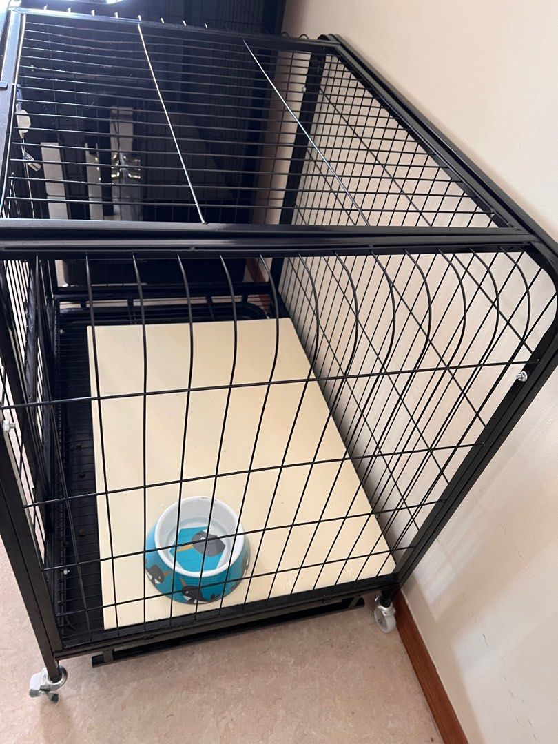 Preloved hotsell dog crate