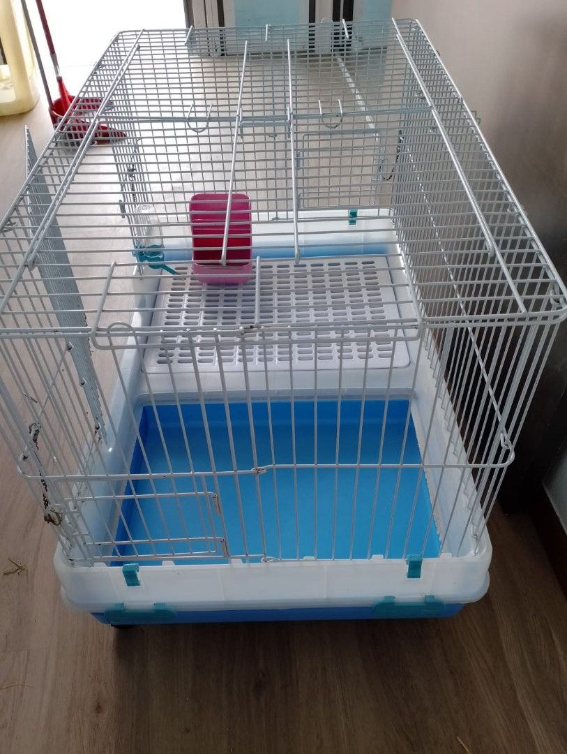 Small animal cage (large size), Pet Supplies, Homes & Other Pet Accessories  on Carousell