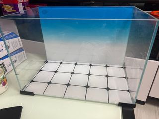 （分類：）位於 。 由 babelau 提交（商品編號 1204586517，圖片 1）。簡介： 。