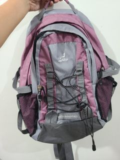 ACTIV Hiking Backpack (Preloved)