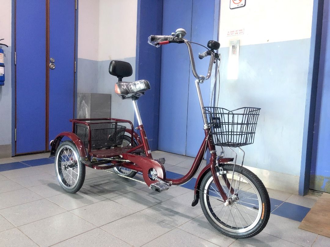 Compact Adult Tricycle