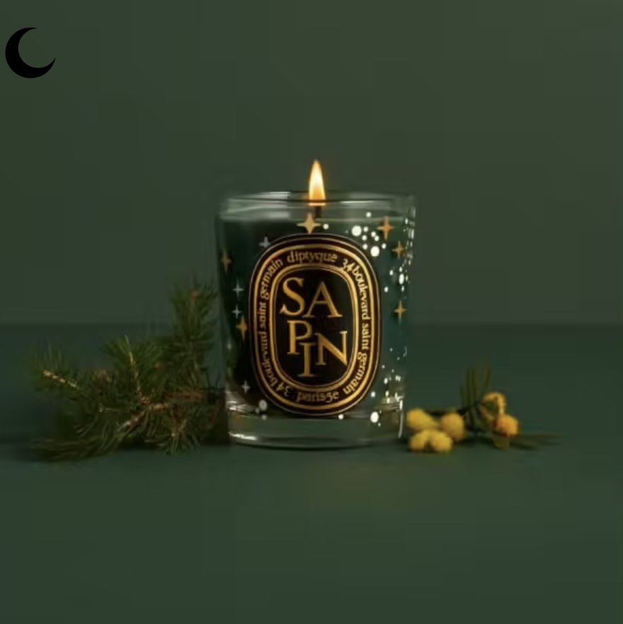 190g 新品未使用【送込】限定 diptyque Sapin candle etseng.com.br