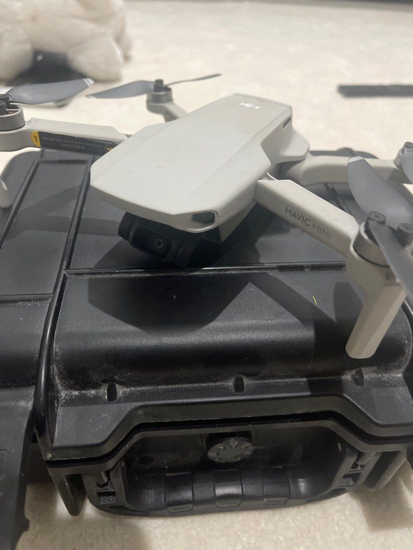 Ant cool shop mavic mini