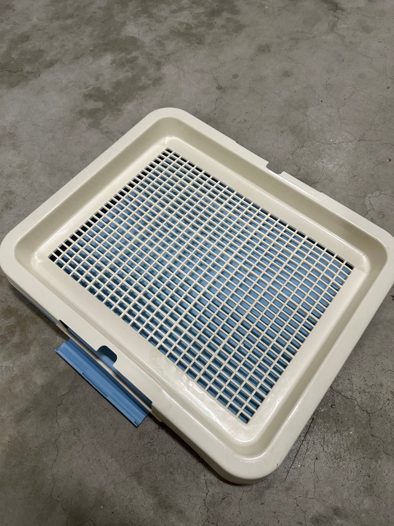 Dog Pee Tray, Pet Supplies, Homes & Other Pet Accessories on Carousell