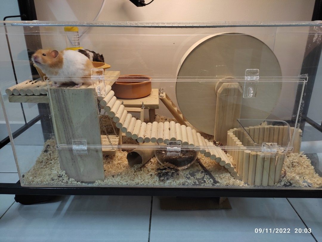 Acrylic top terrarium hamster