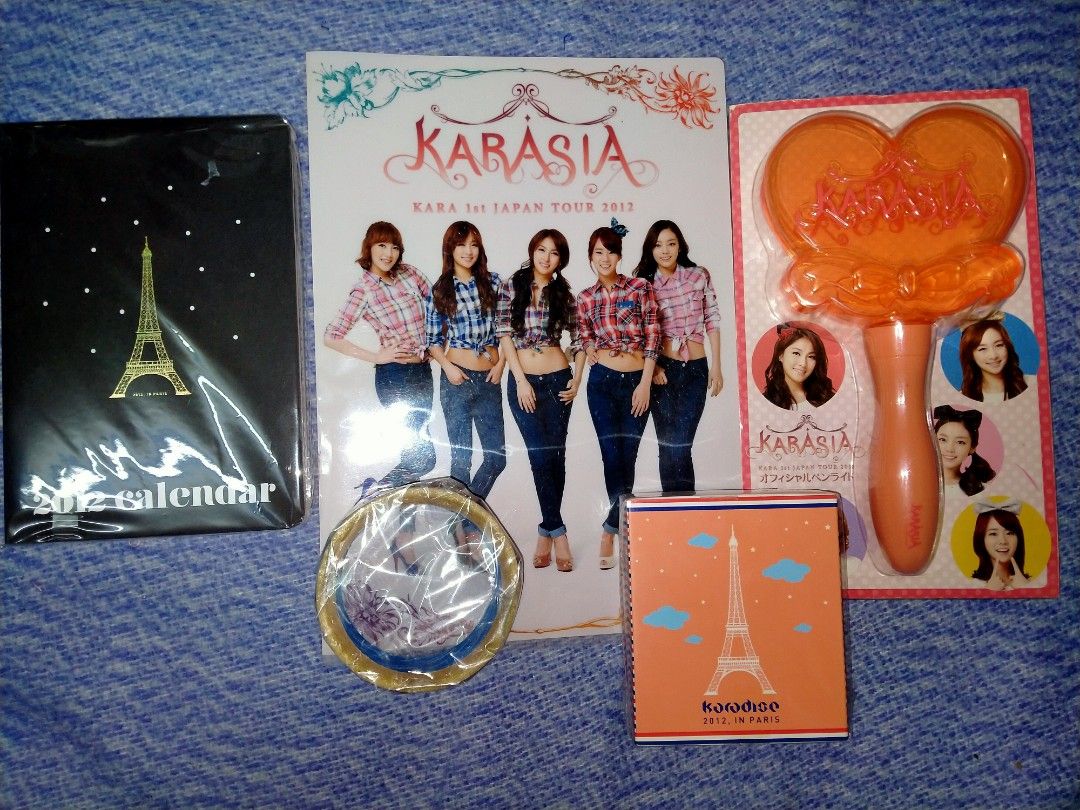 【入手困難】KARA 2012ツアー うちわ KARA KARASIA JAPAN TOUR 2012公式グッズペンライト