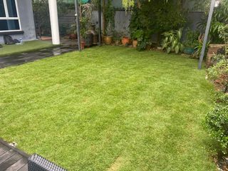 (Category: ) located in . Submitted by TIGER_LANDSCAPE (Listing ID 1204417936, Image 1). Description: .