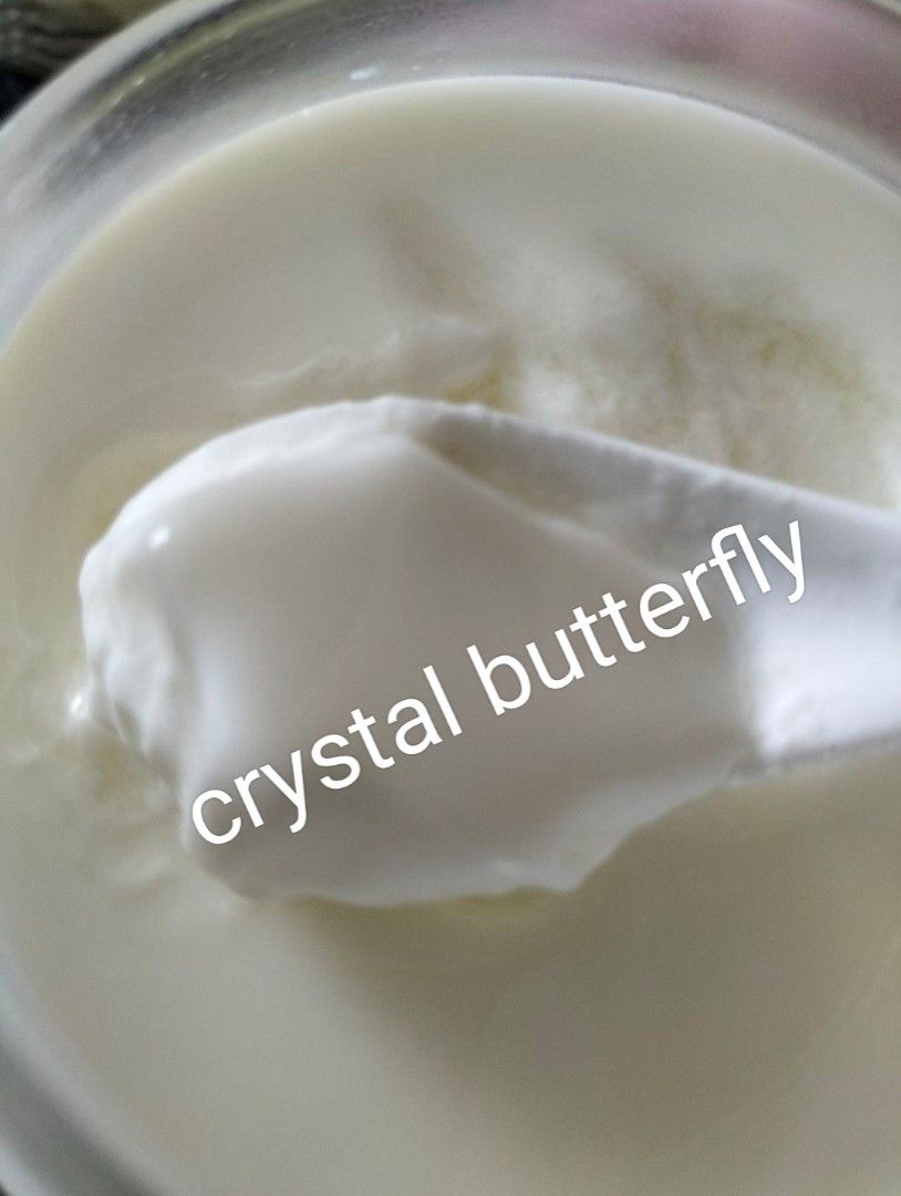 Can Cats Eat Kefir Safely? Exploring the Benefits and Risks