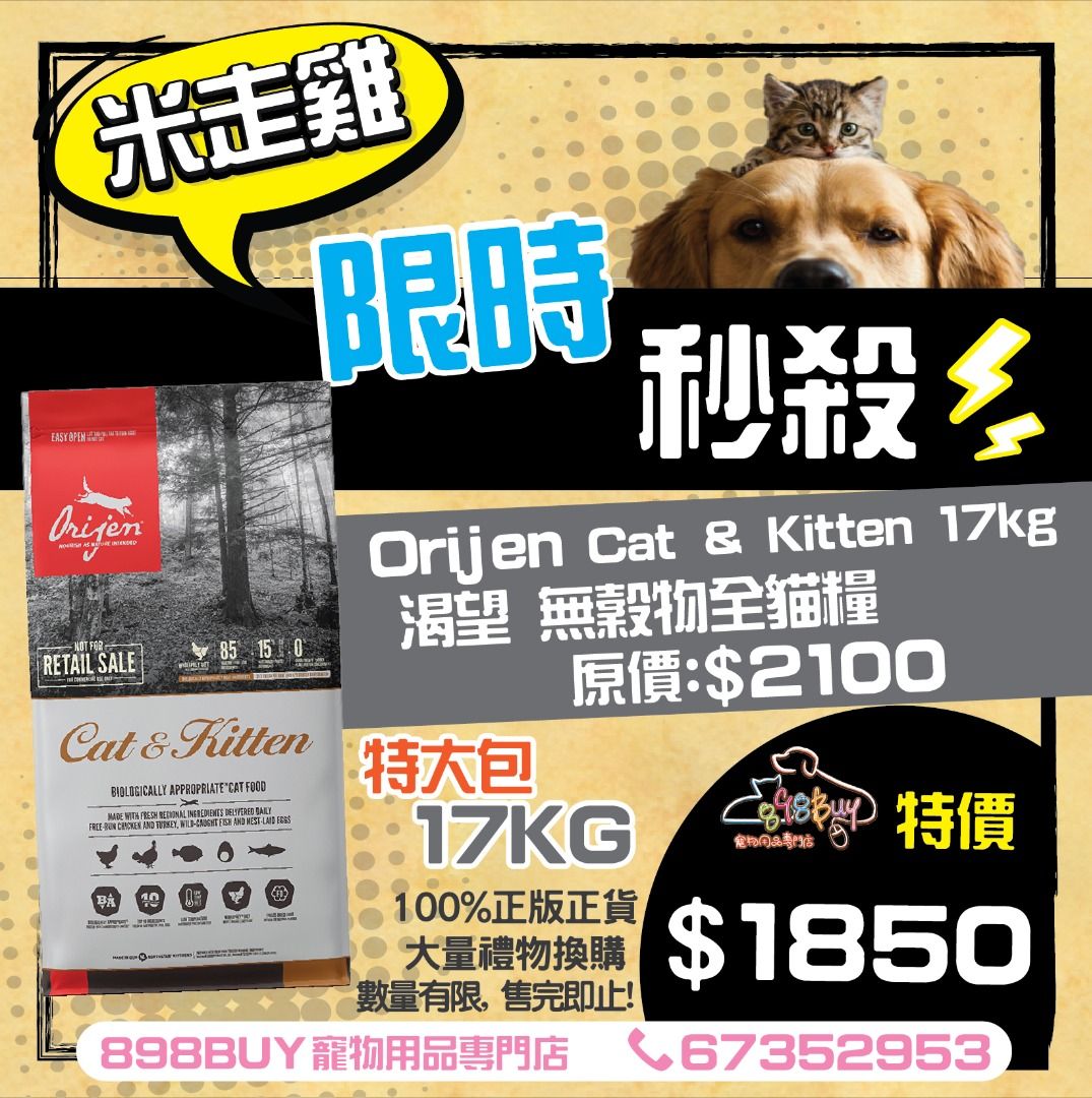 Orijen cat & kitten 17 kg top