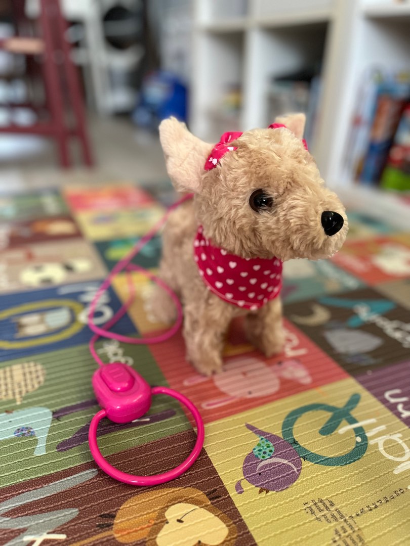 Pitter Patter Pets Walk Along puppy toy, Hobbies & Toys, Toys & Games