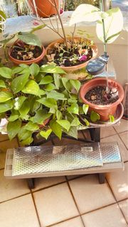 (Category: ) located in . Submitted by garima1234 (Listing ID 1204428595, Image 1). Description: .