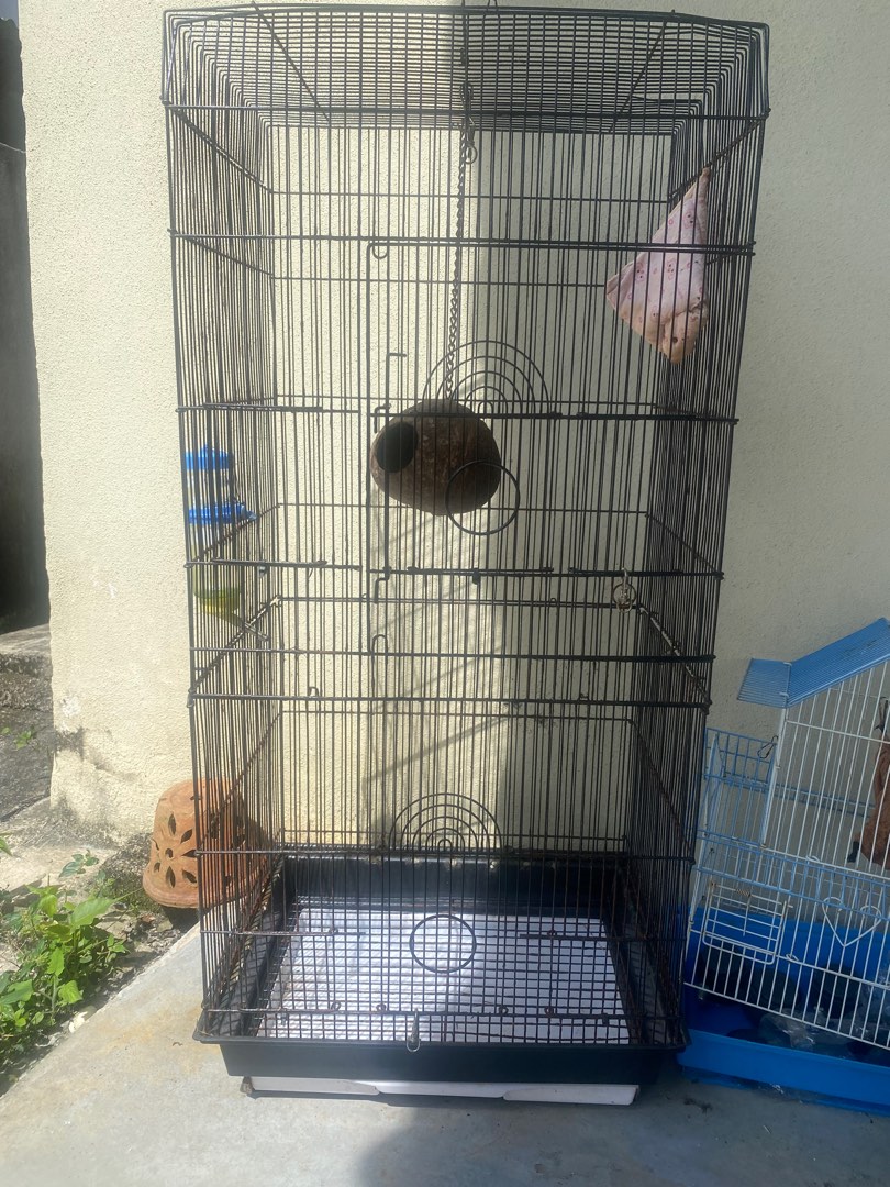 Sangkar burung, Pet Supplies, Homes & Other Pet Accessories on Carousell