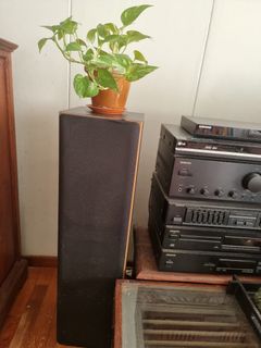 (Category: ) located in . Submitted by ttweett (Listing ID 1204638277, Image 1). Description: .