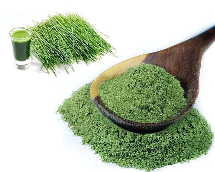 Young Barley Grass Powder 嫩大麥草粉, 健康及營養食用品, 健康補充品, 健康補充品 保健食品，飲料和補品