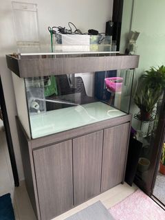 (Category: ) located in . Submitted by kairan (Listing ID 1204646193, Image 1). Description: .