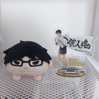 排球少年 趴娃  赤葦