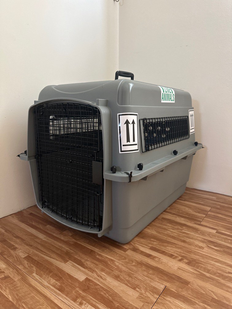 Airline Approved Dog Pet Flight Crate Carrier, Pet Supplies, Homes