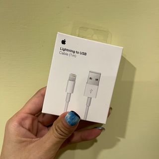 Apple iPhone iPad 蘋果 充電線