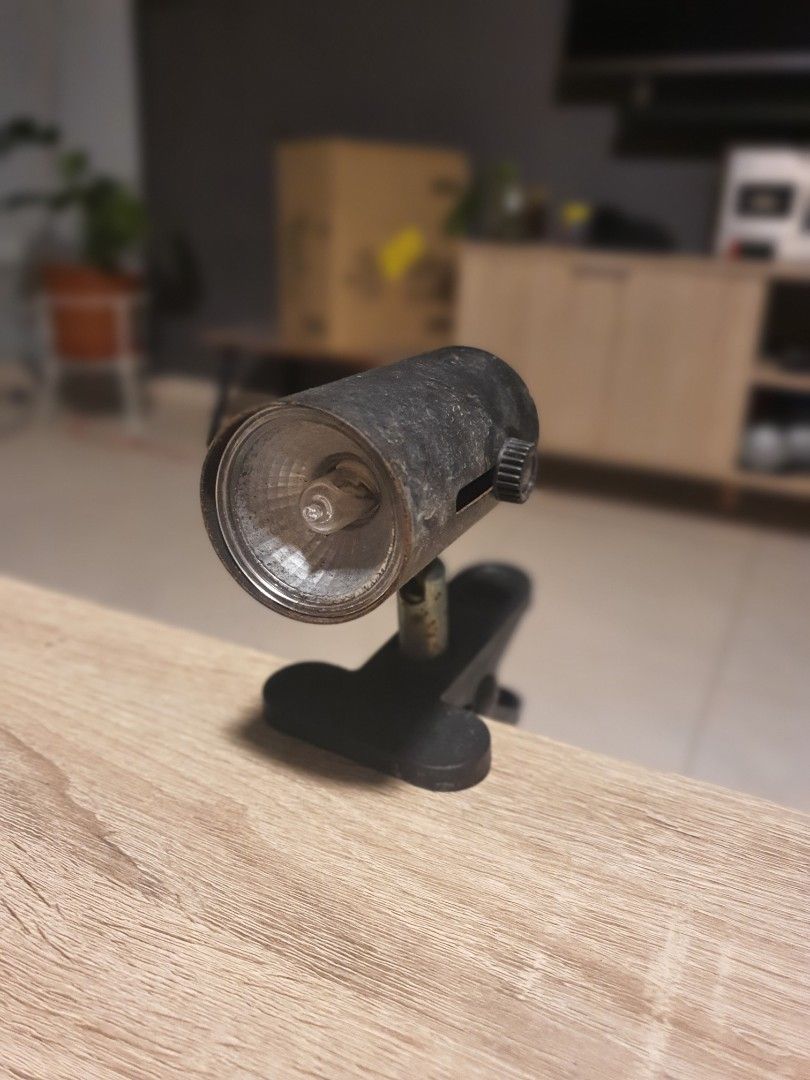 Basking light, Everything Else on Carousell