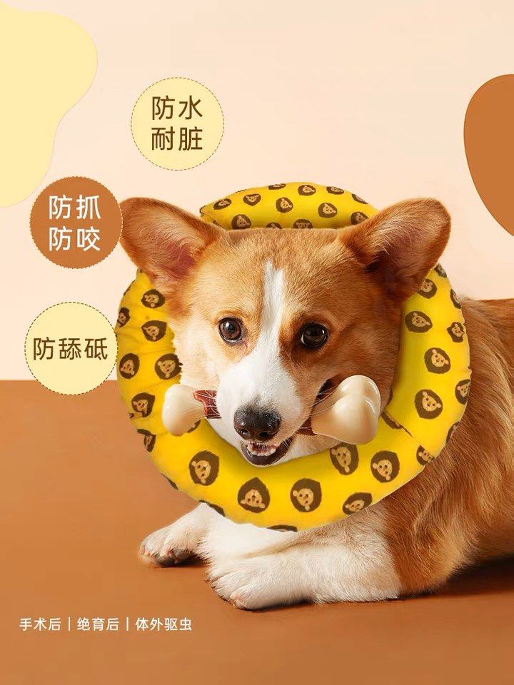 Electric collar for big dogs online