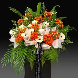 (Category: ) located in . Submitted by normaflowers (Listing ID 1204526409, Image 1). Description: .