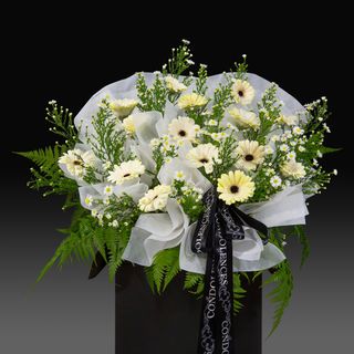 (Category: ) located in . Submitted by normaflowers (Listing ID 1204521800, Image 1). Description: .