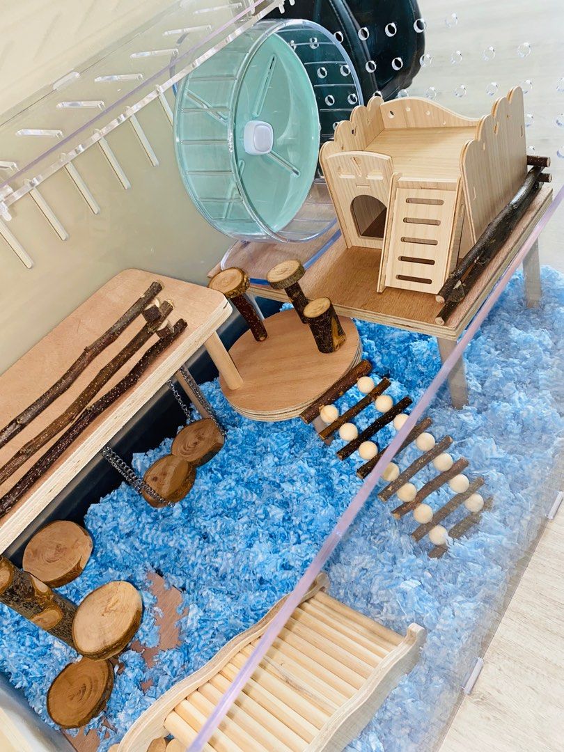 Image showcasing Hamster acrylic cage 80cm 100cm cage wooden accessories setup ideas ...