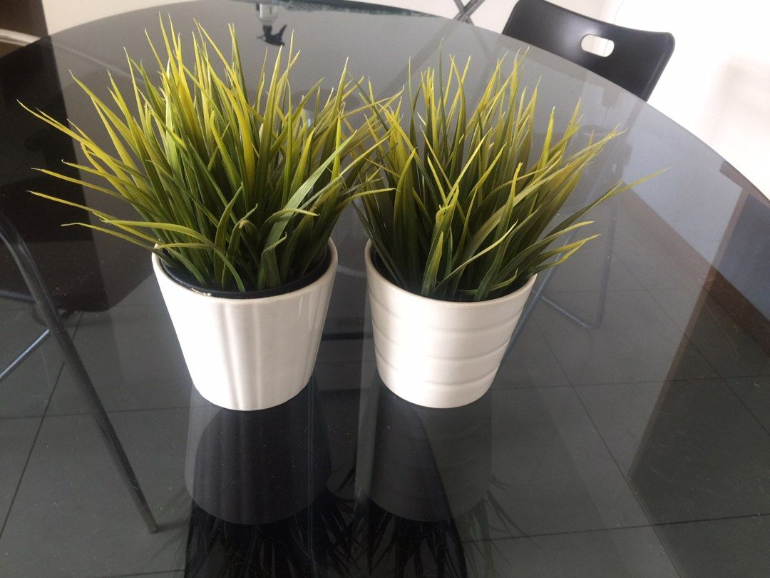 IKEA grass artificial potted plant, Furniture & Home Living, Home Decor