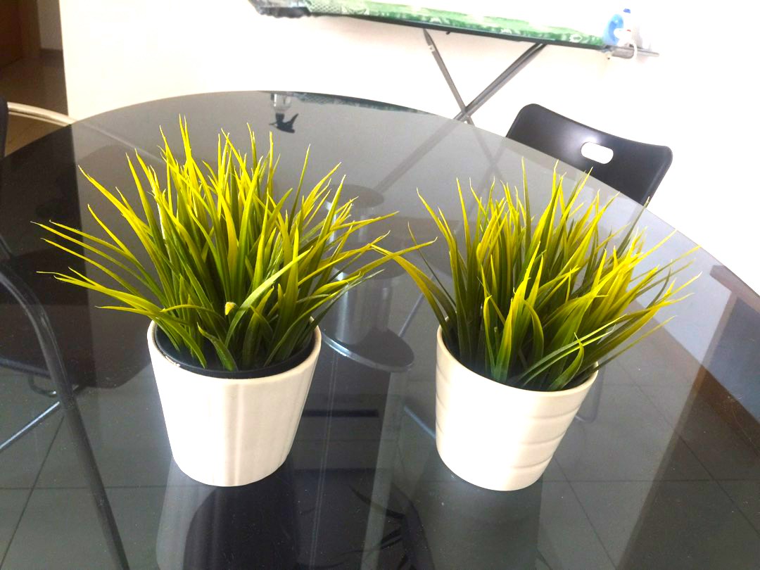 IKEA grass artificial potted plant, Furniture & Home Living, Home Decor