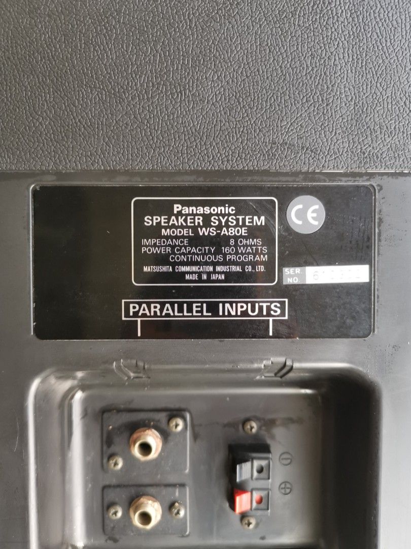 Panasonic Speaker Karaoke RAMSA WSA80E, Elektronik, Audio di Carousell