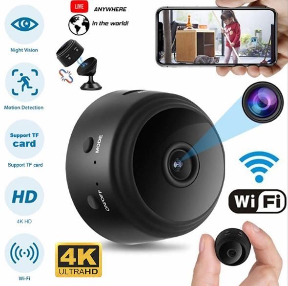hidden remote cameras